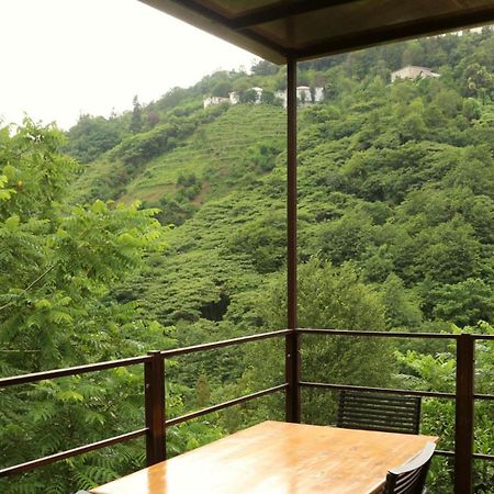 Modular House Green Zyland Y Μπατούμι Εξωτερικό φωτογραφία