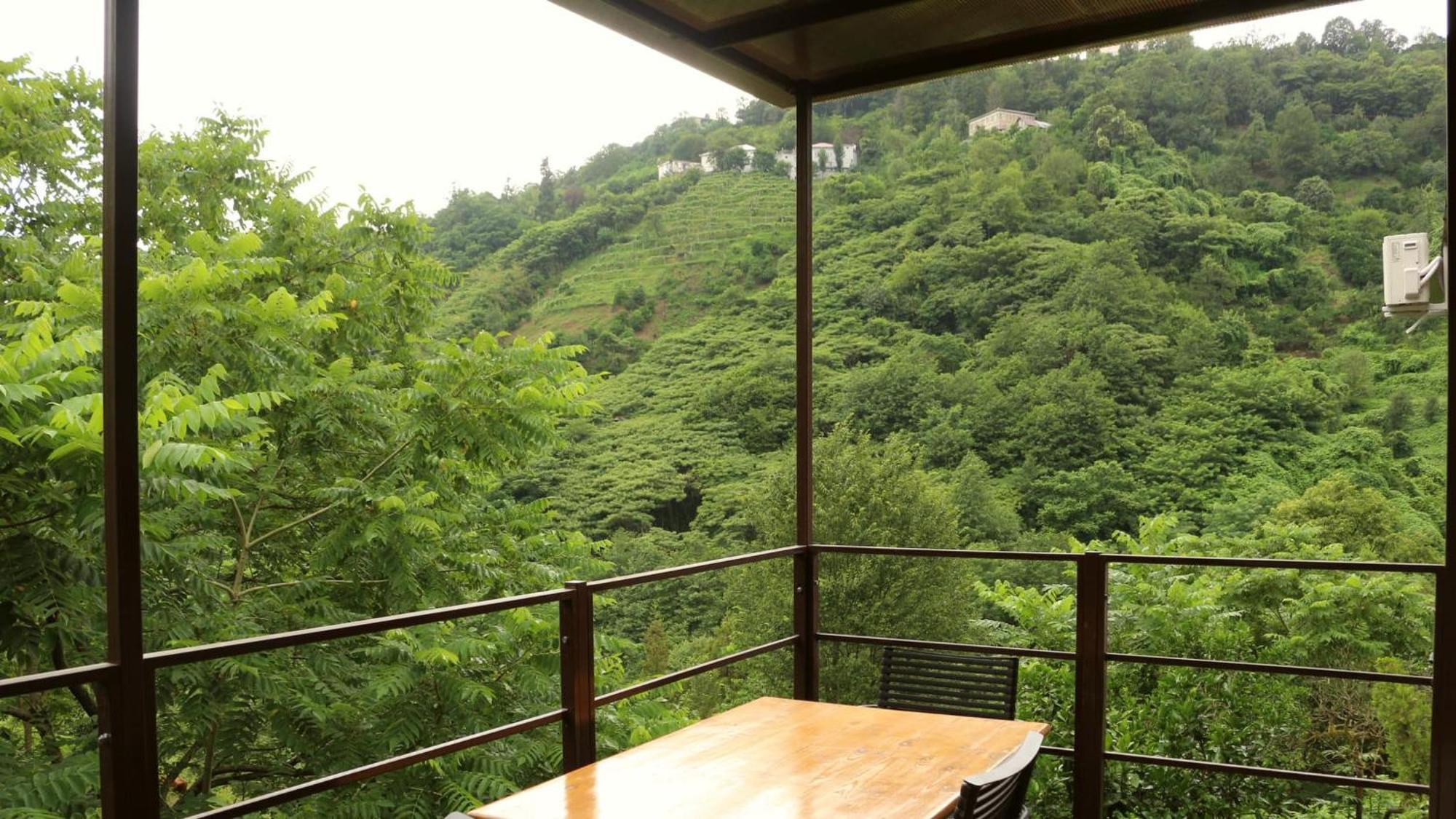 Modular House Green Zyland Y Μπατούμι Εξωτερικό φωτογραφία