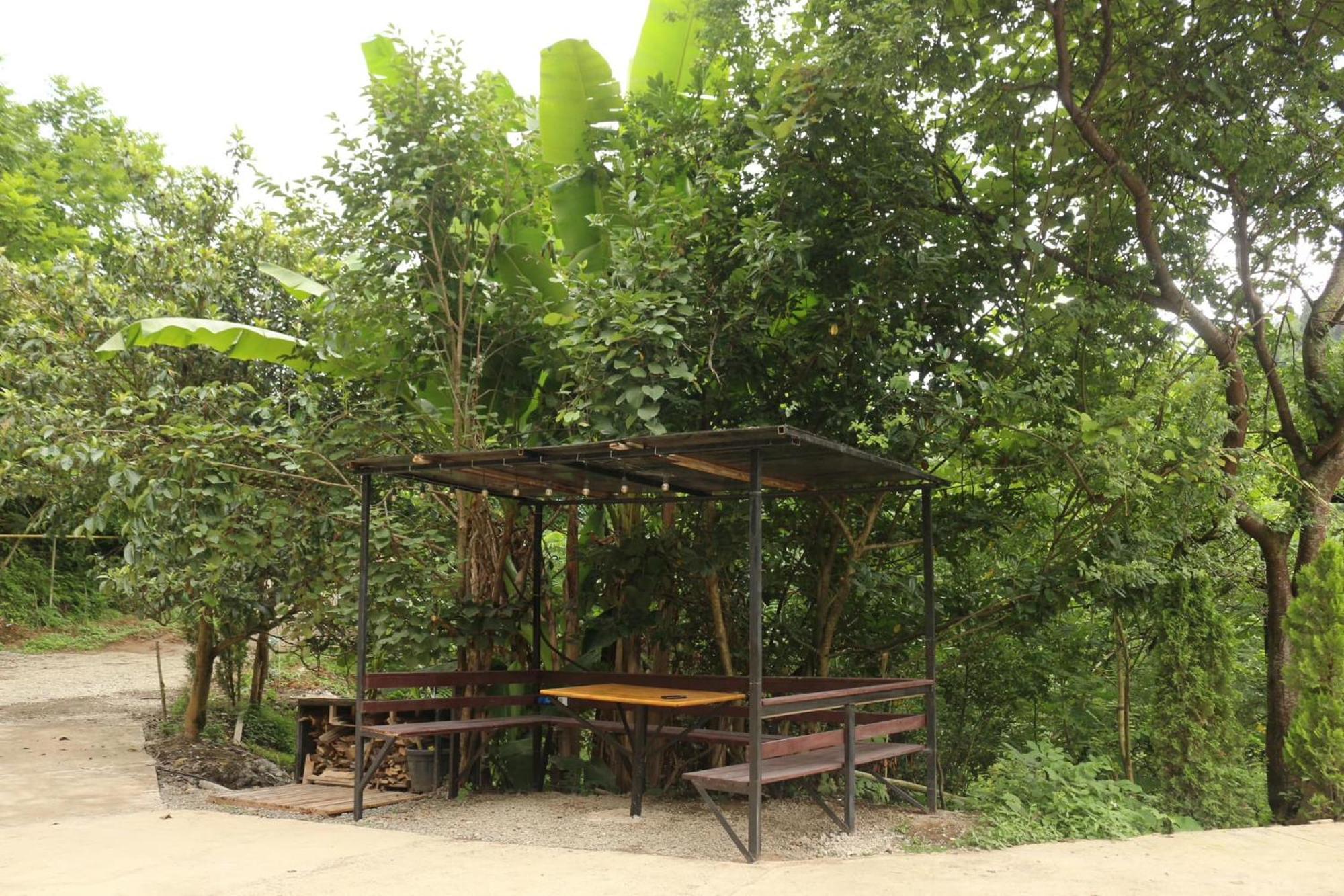 Modular House Green Zyland Y Μπατούμι Εξωτερικό φωτογραφία